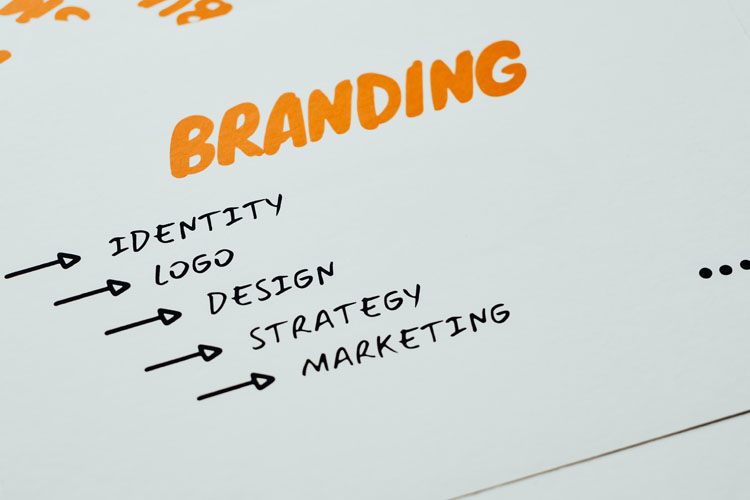 Brand Identity